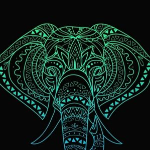 Meet your Posher, Devin